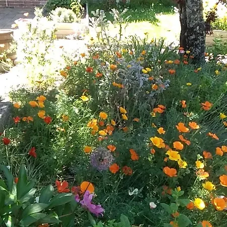 Oda ve Kahvaltı Les Tournesols La Bernardiere