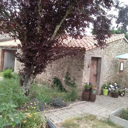 Les Tournesols * La Bernardiere