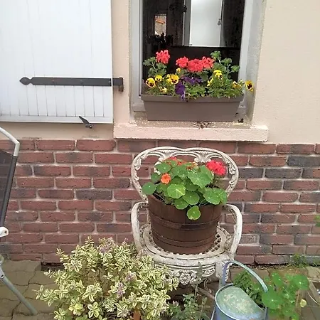 Les Tournesols Bed & Breakfast