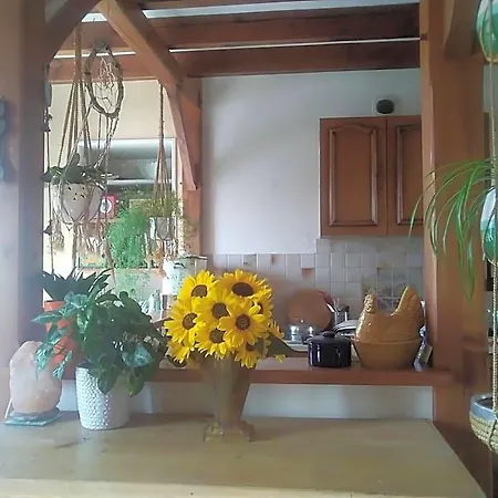 Les Tournesols Bed & Breakfast